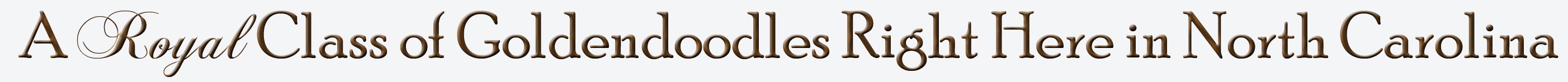 Royal-Class-of-Goldendoodles-Type