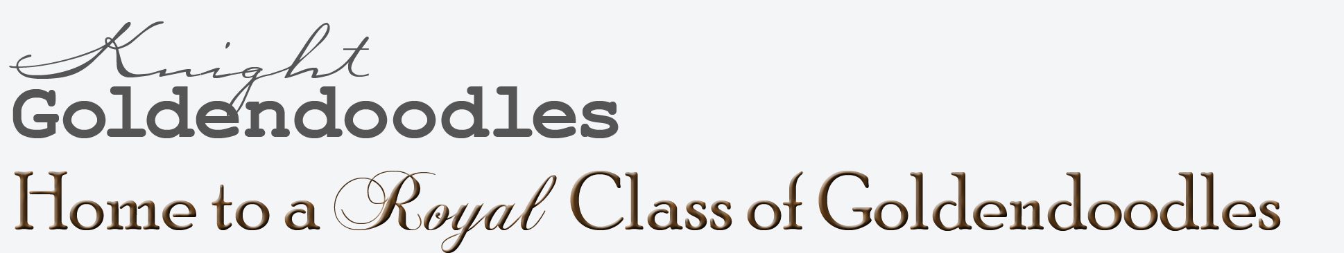 Royal-Class-of-Goldendoodles-Type2