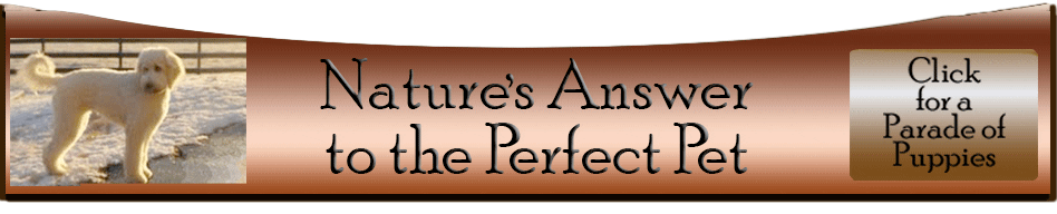 nature's-answer-to-the-perfect-pet
