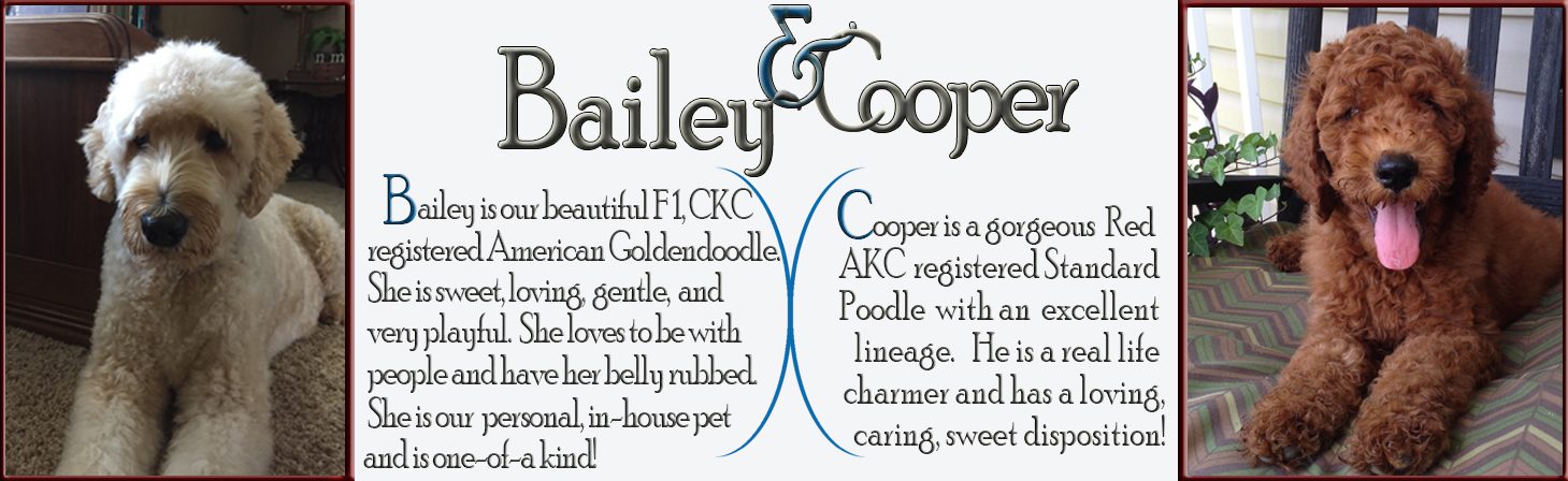 Bailey-Cooper_X