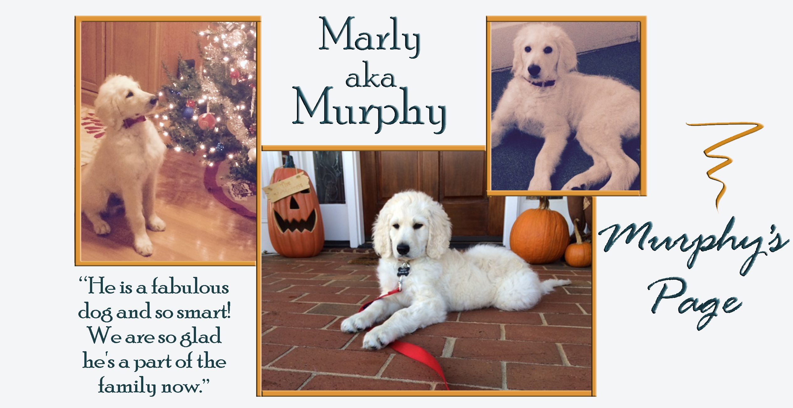 marly-aka-murphy