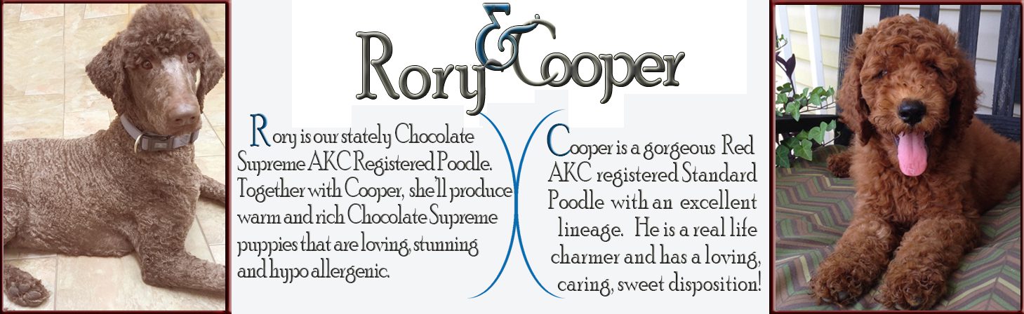 Rory-Cooper